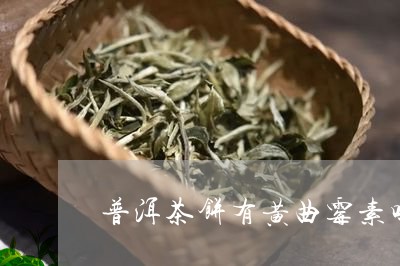 十年陈普洱茶饼黄曲霉素