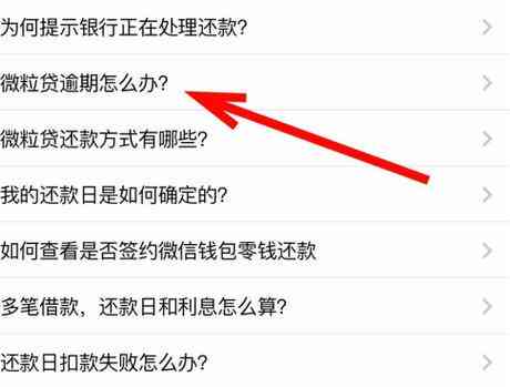 如何判断微粒贷还款是否已完成？了解这些方法可以帮助您全面了解还款情况。