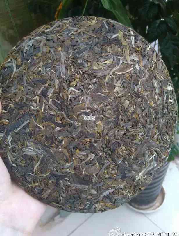 老树普洱茶的醇厚口感与独特风味nn新老树普洱茶的醇厚口感与独特风味