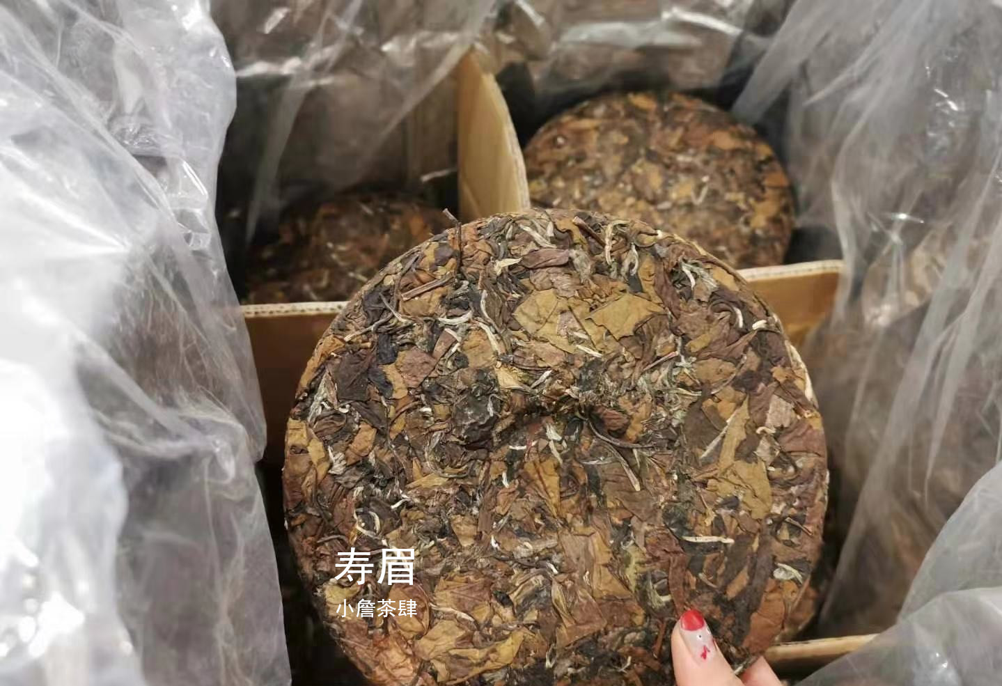 寿眉茶与普洱茶的区别：口感、功效及其他异同解析