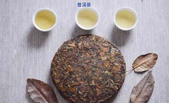 寿眉喝起来像普洱茶一样是什么茶：探究这种神奇的相似性