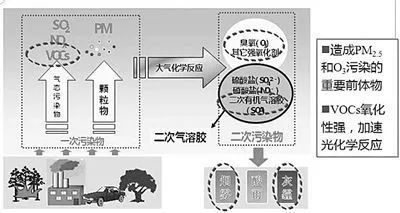 普洱茶初尝：反应强烈吗？原因何在？如何避免不适？