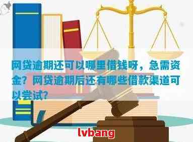 网贷都逾期：逾期后借款渠道和解决办法