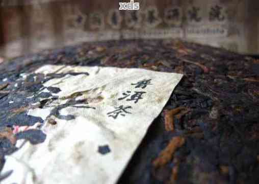 【天坛600年念】古韵普洱茶：历、文化与传统的完美融合