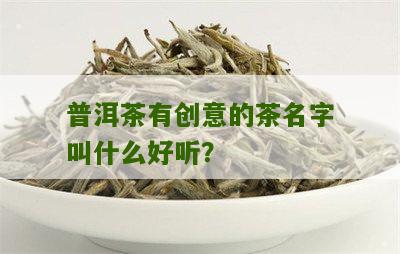 普洱茶好听的名字大全：给普洱茶赋予意境，打造令人难忘的形象