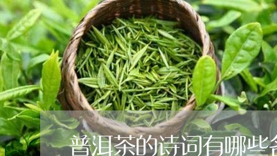 普洱茶的名字古风怎么取