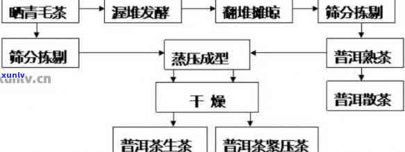 7262普洱茶是什么？它的历、种类、功效与品饮方法全面解析