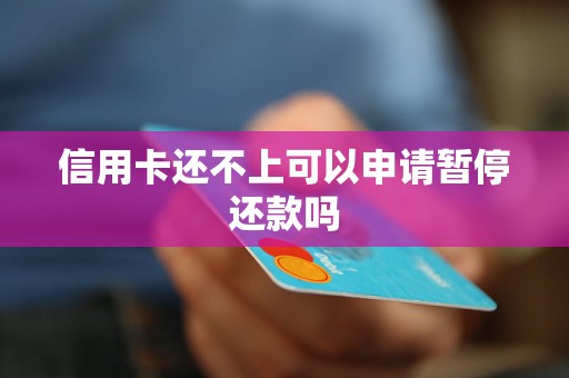 揭秘：信用卡暂停还款传闻真相与误区