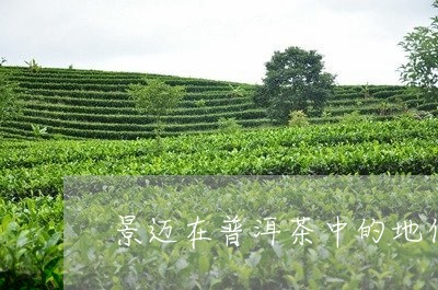 景迈普洱茶中茶是什么茶