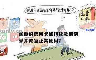 信用卡暂停还款政策及恢复操作：疑问解答