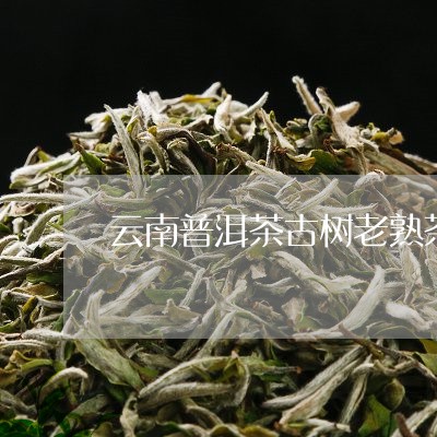 精选普洱茶：古树茶，陈年老茶，纯正云南茶叶，购买送礼两相宜