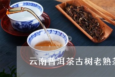 精选普洱茶：古树茶，陈年老茶，纯正云南茶叶，购买送礼两相宜