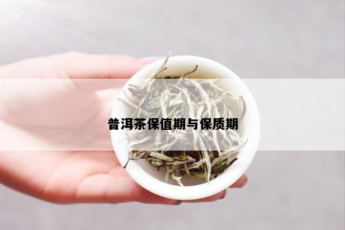 鸿普洱茶的保期及其存方法探究