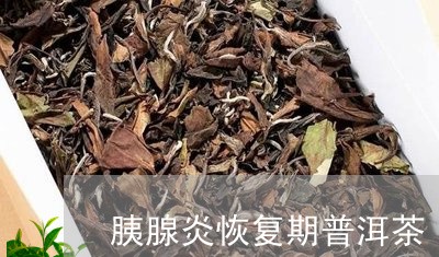 胰腺炎恢复后能喝普洱茶吗：女性及急性胰腺炎出院后的适宜饮用