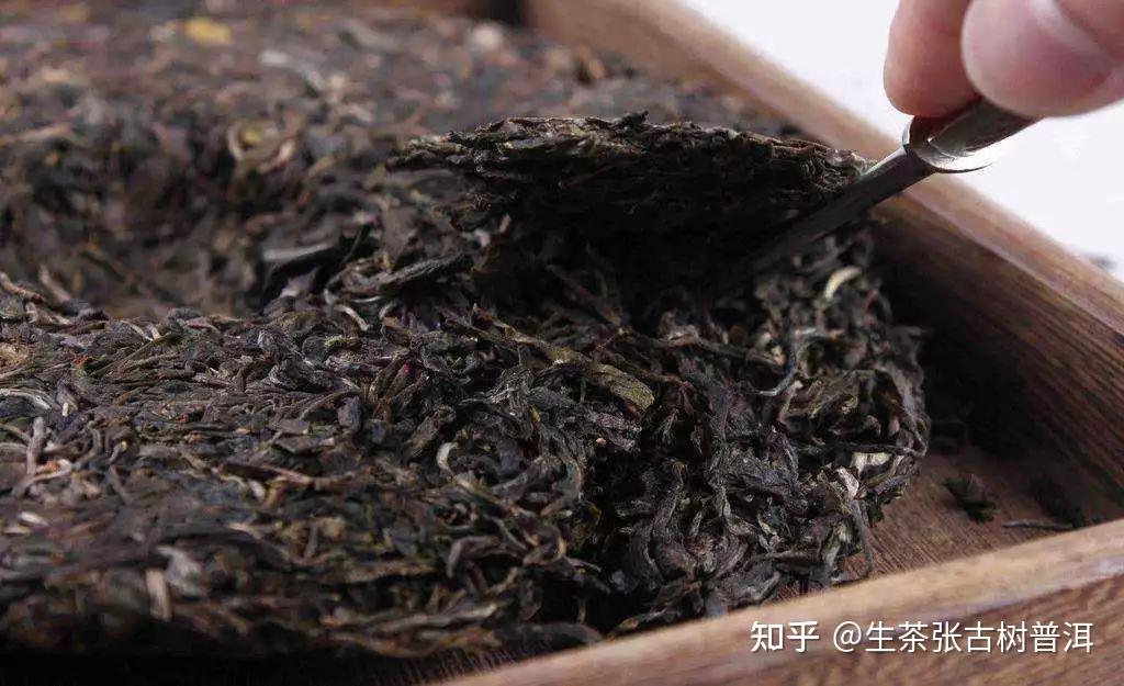 普洱茶新茶毛茶当年能喝吗