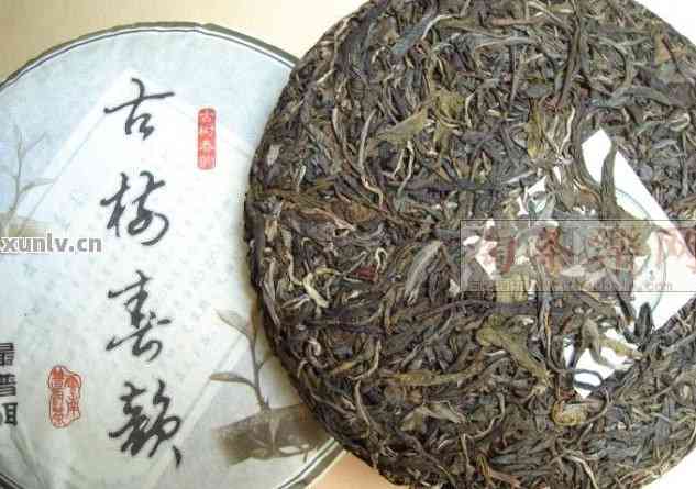 老海塘普洱茶：特点、价格与古树茶魅力——镇沅产区全面解析