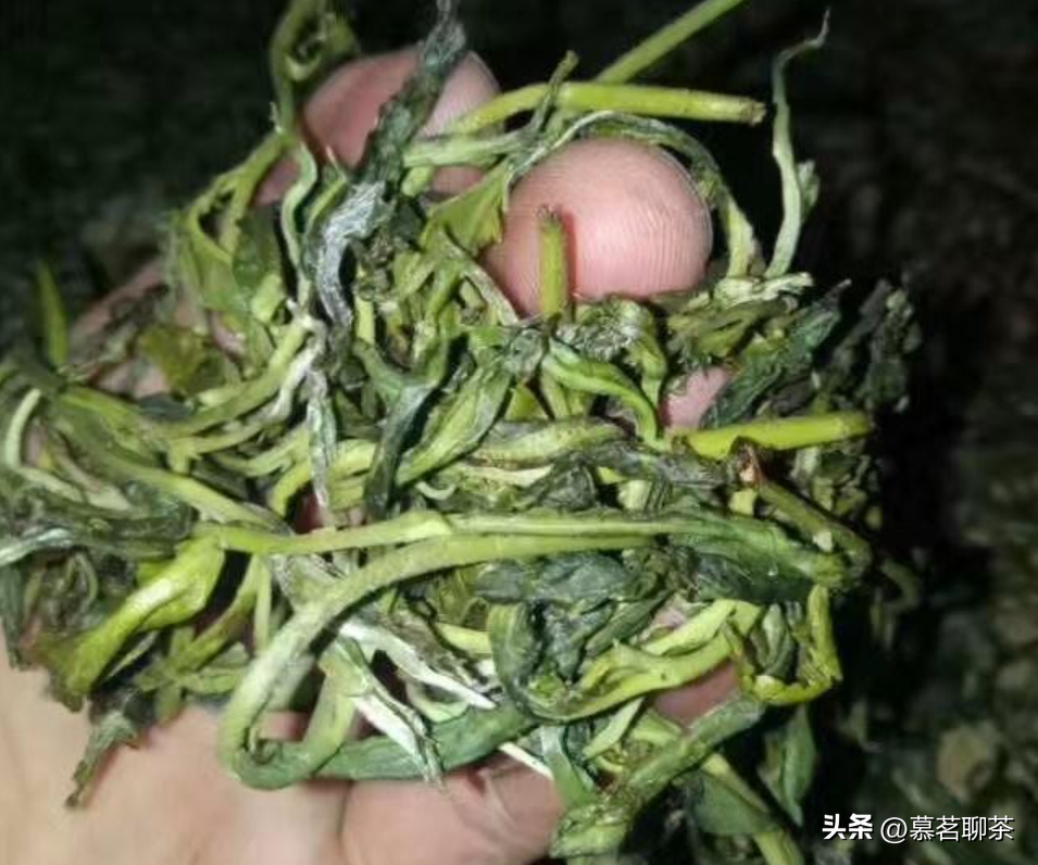 如何去除普洱茶堆味和土腥味