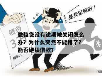 关于微粒贷：无逾期情况下是否可以再次贷款，以及可能存在的其他条件和限制