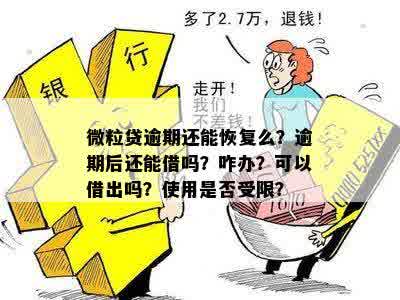 关于微粒贷：无逾期情况下是否可以再次贷款，以及可能存在的其他条件和限制