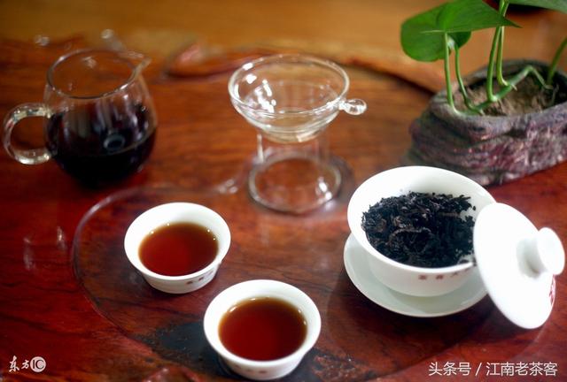 普洱茶大叶茶：品种、功效、制作方法与品饮技巧全面解析