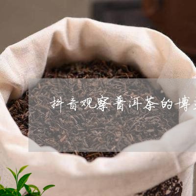 一个跳舞的普洱茶博主叫啥