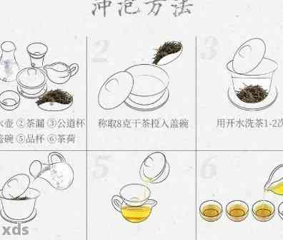 普洱茶泡茶第二步教学设计