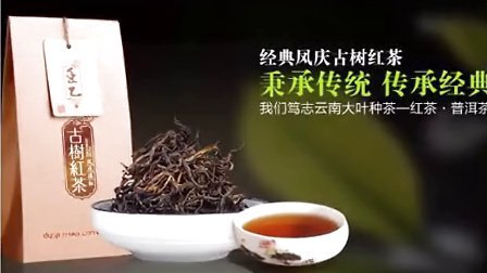 很耐泡的古树普洱茶有哪些