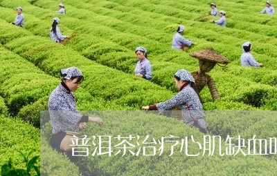 喝普洱茶对心肌缺血有帮助吗？普洱茶的作用与心肌缺血的关系解析