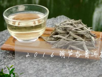 全面探索葫芦谷普洱茶：哪里的茶最正宗？如何辨别优质产品？