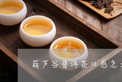 全面探索葫芦谷普洱茶：哪里的茶最正宗？如何辨别优质产品？