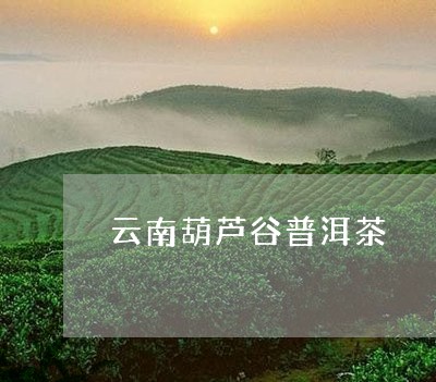 全面探索葫芦谷普洱茶：哪里的茶最正宗？如何辨别优质产品？