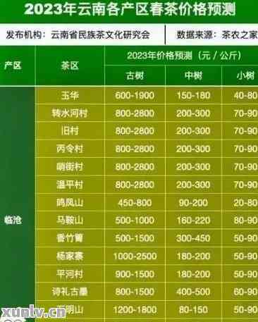 芳村普洱茶价格走势与最新行情分析：了解市场动态与选购指南