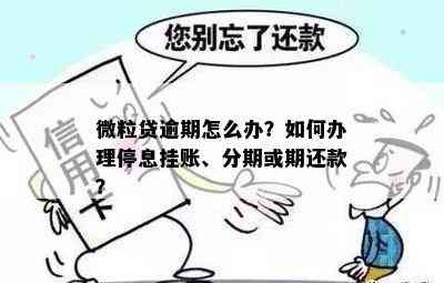 眼看要逾期了不想跟家里要钱了怎么办 - 如何应对经济困境