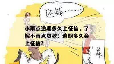 逾期一天的小雨点贷款如何处理？了解全面解决方案和应对策略