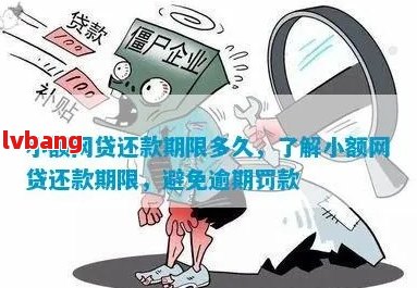 逾期一天的小雨点贷款如何处理？了解全面解决方案和应对策略