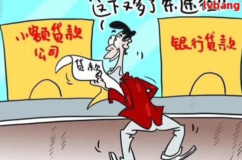 '小雨点贷款公司还贷款逾期处理方式和后果'