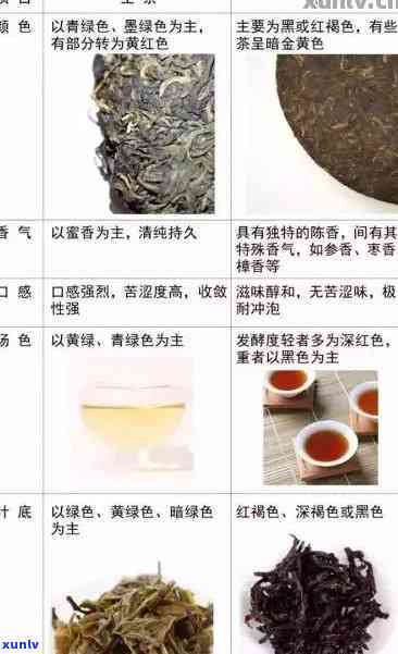 如何从外观、香气和口感上区分普洱茶饼的生茶与熟茶？