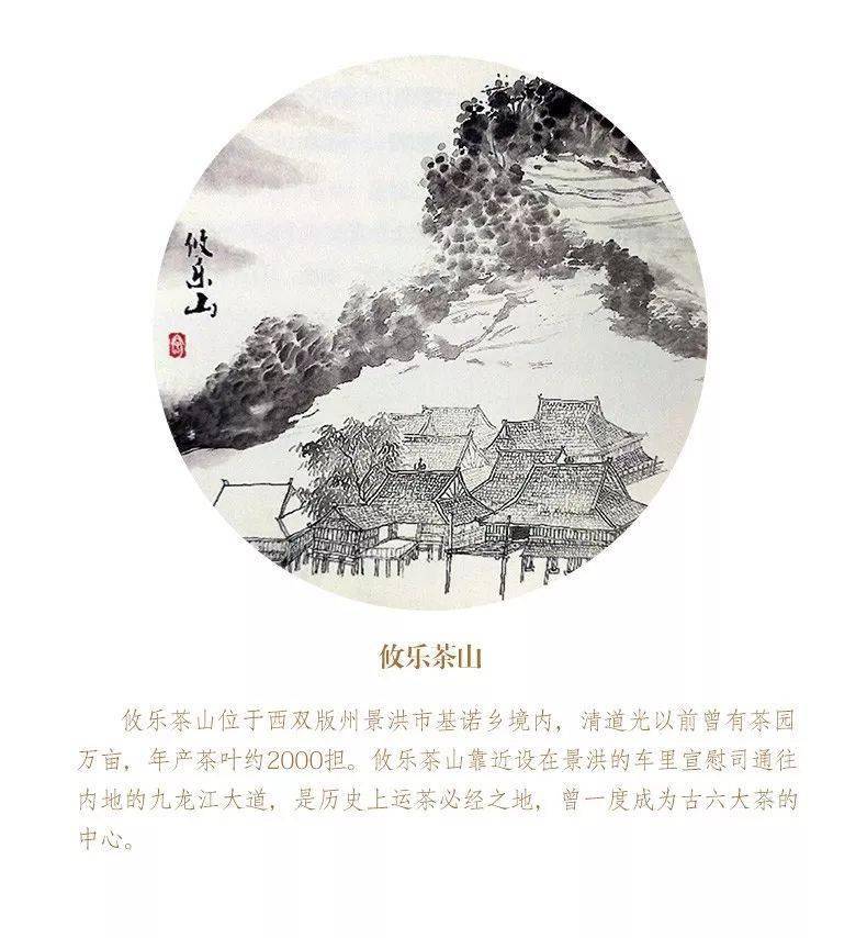 雪山深处的秘境：大普洱茶饼生普的故事与传承