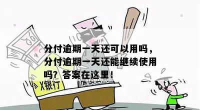 逾期一天是否可以办理分期付款？解答您的相关疑问