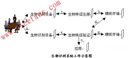 全面解析玉石硬度：了解不同种类的硬度及其适用范围