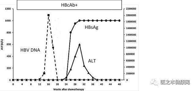 玉石硬度与成分的关系：探讨HB值的意义及其影响因素