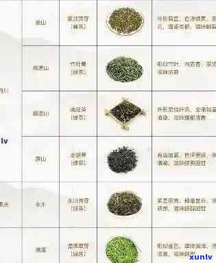 十大良心普洱茶品种全解析：名称、特点、口感一网打尽，助你轻松选购！