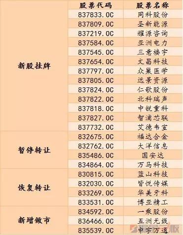 全面解析：一品普洱茶的价格构成与市场趋势