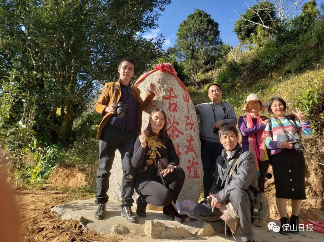 保山古树茶特点：云南独特风味与健价值介绍