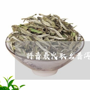 抖音号最火的普洱茶是哪个