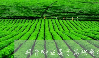 抖音号最火的普洱茶是哪个