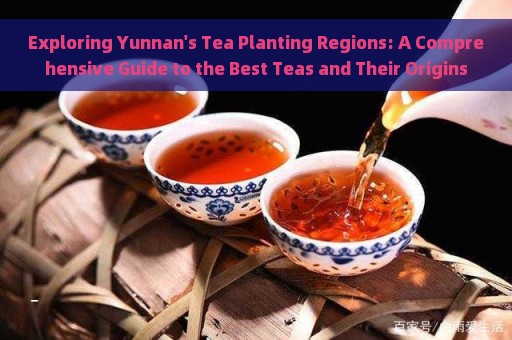 What are the good puer tea company names in English?