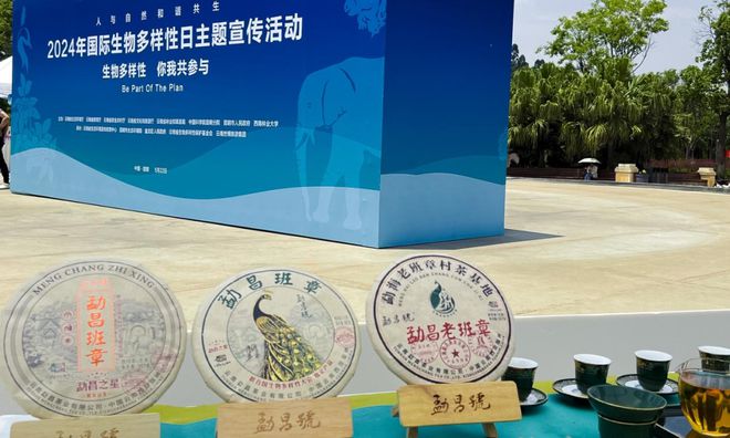 普洱茶行业内100个精选公司名称参考，助力您的创业之路