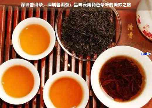 普洱茶行业领导者：专注于高品质普洱茶的创新与传承