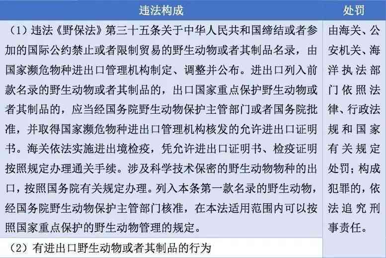 逾期处理时效：违法行为的界定与理解